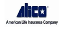 american life insurance