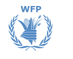 wfp